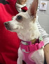 Mable(Mabeline)~ - Photo 4