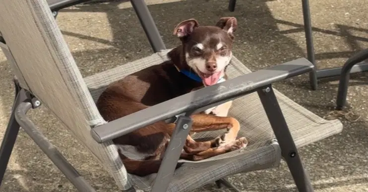 Jax image 2
