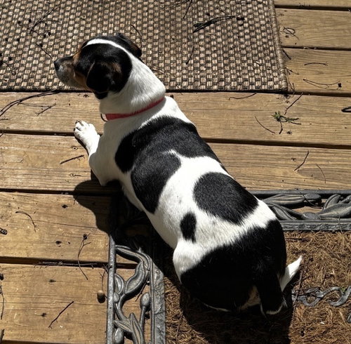 Sadie CP photo 4