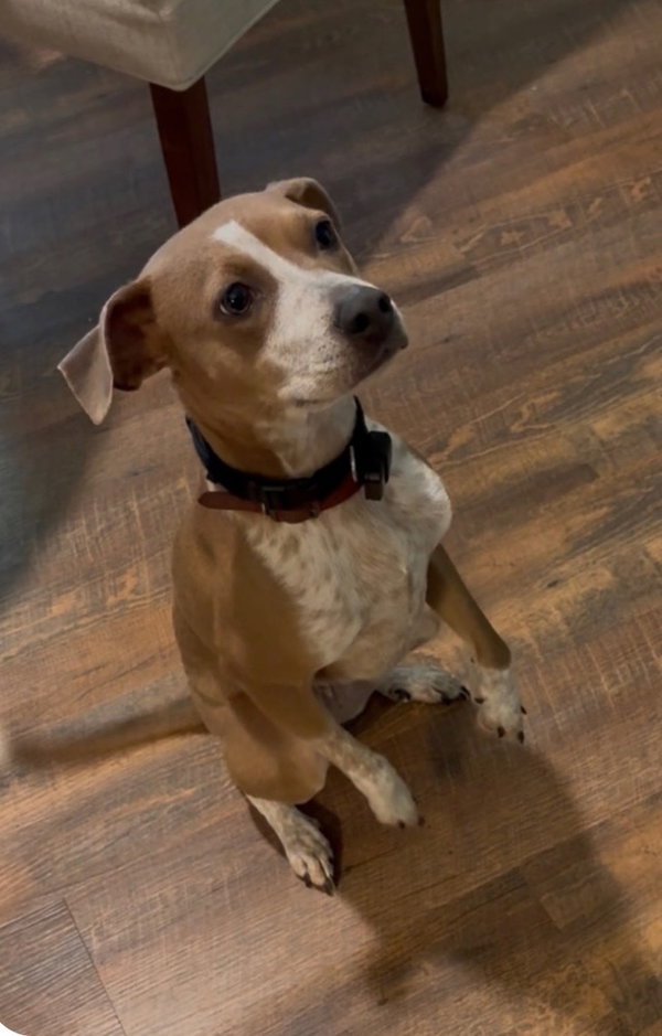 Penny