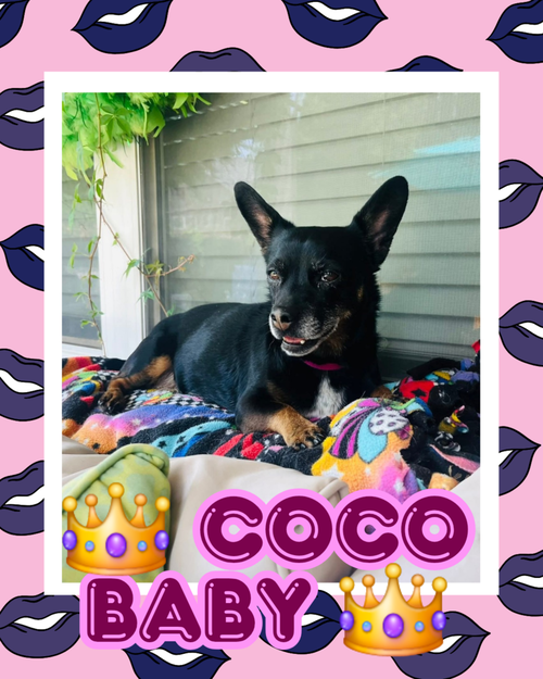 Coco Baby photo 2