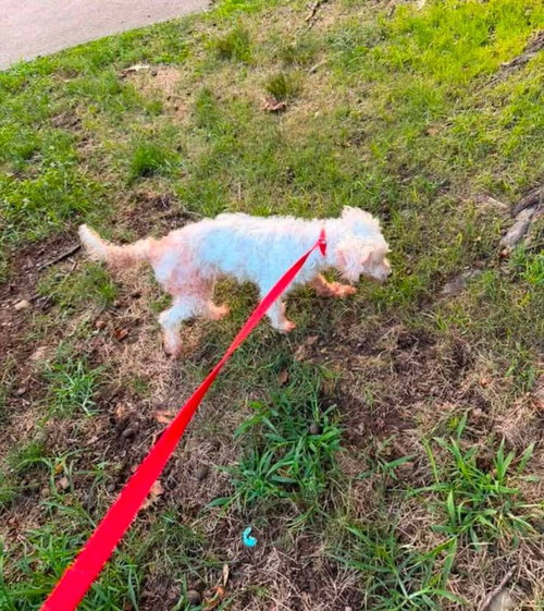 Ethel photo 2