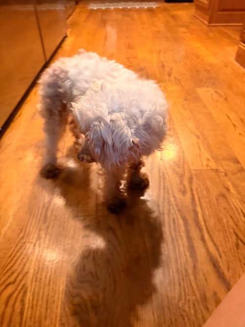 Ethel photo 3