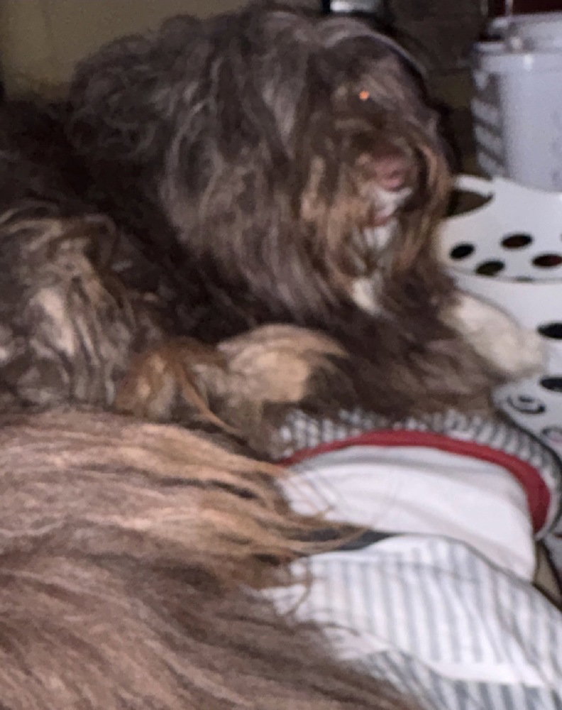 Finley DD