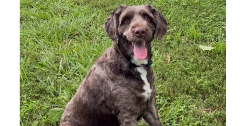 Finley DD