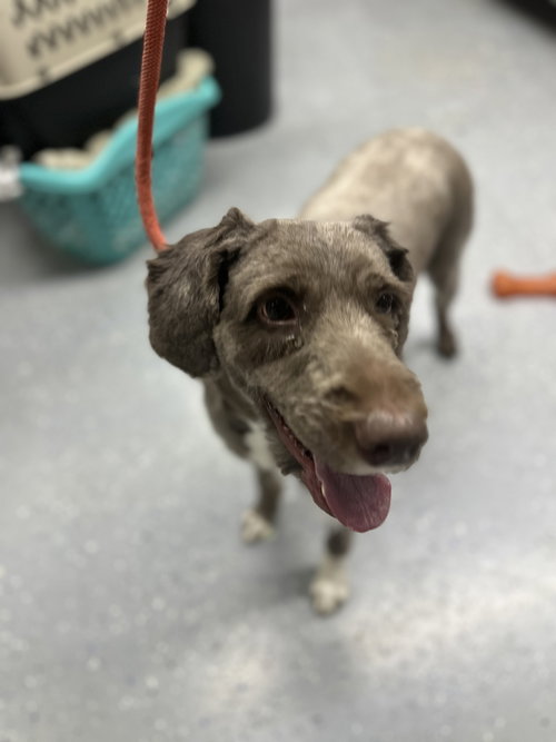 Finley DD photo 1