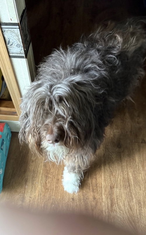 Finley DD photo 2