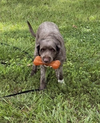 Finley DD photo 3