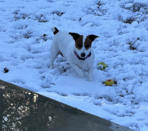 Isabelle photo 3