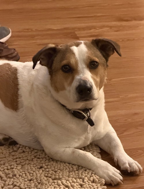 Buster