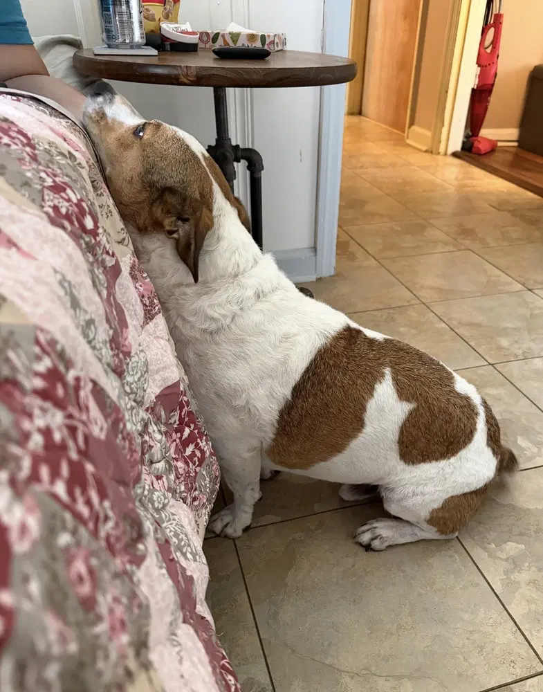 Buster image 3