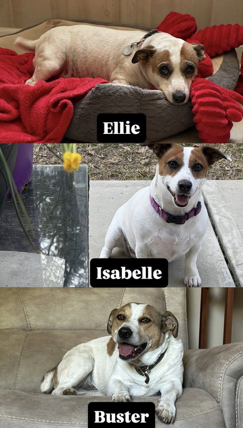 Ellie photo 2
