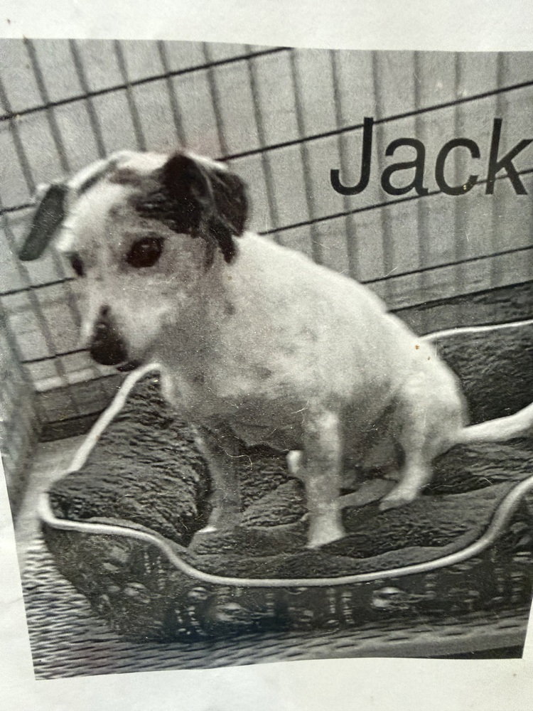 Jack *