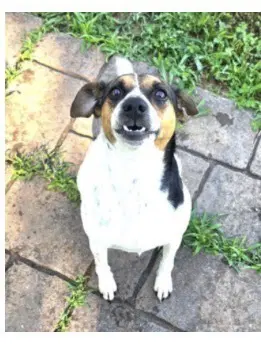 Lucy image 2
