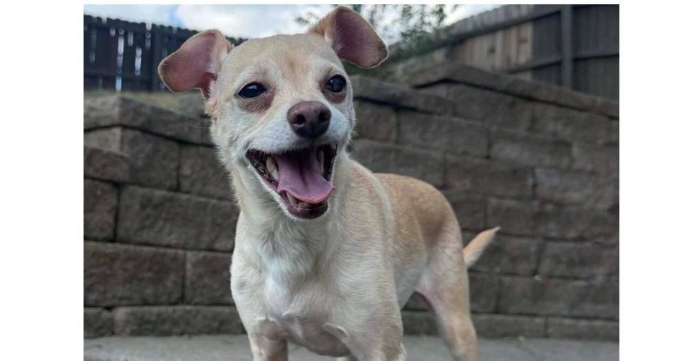 Marley Aka Thunder