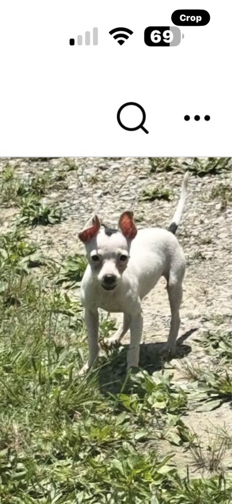 Photo 2 of Oreo
