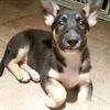 Theia