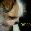 Smith