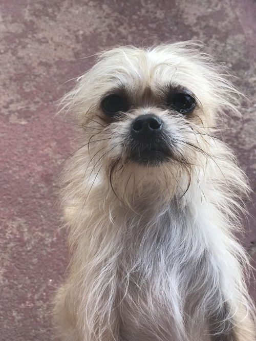 Winston 2