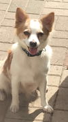 Bailey 5
