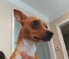 Harvey 2