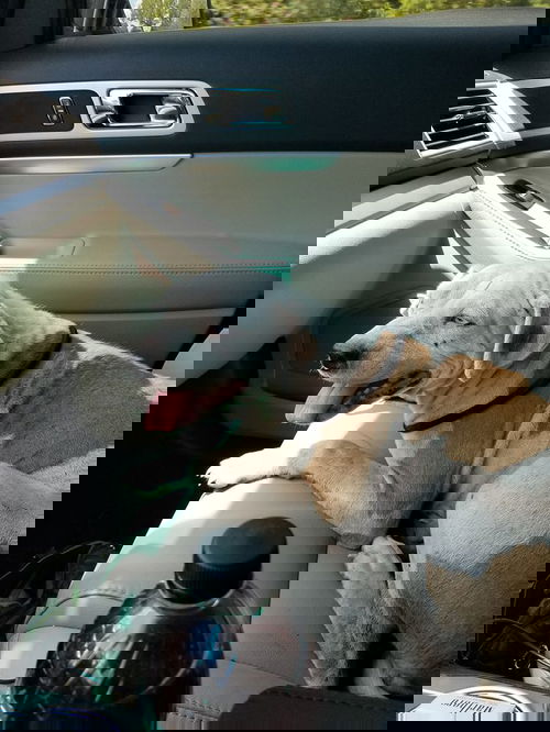 May