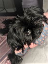 Nugget 1