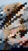 Molly 12