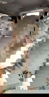 Marley 9
