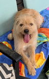 Teddy 9