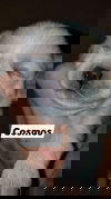 Cosmo 2