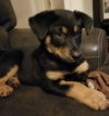 Emmit