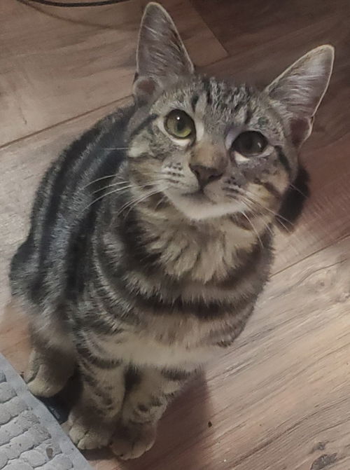 Ellie