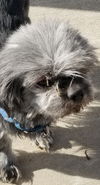 Charlie