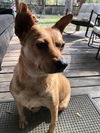 Addie
