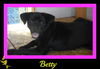 Betty