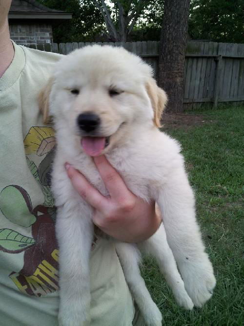 Snowflake (Zoey)