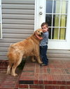 Cody