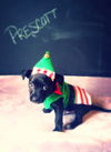 Prescott