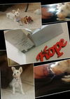 Hope5