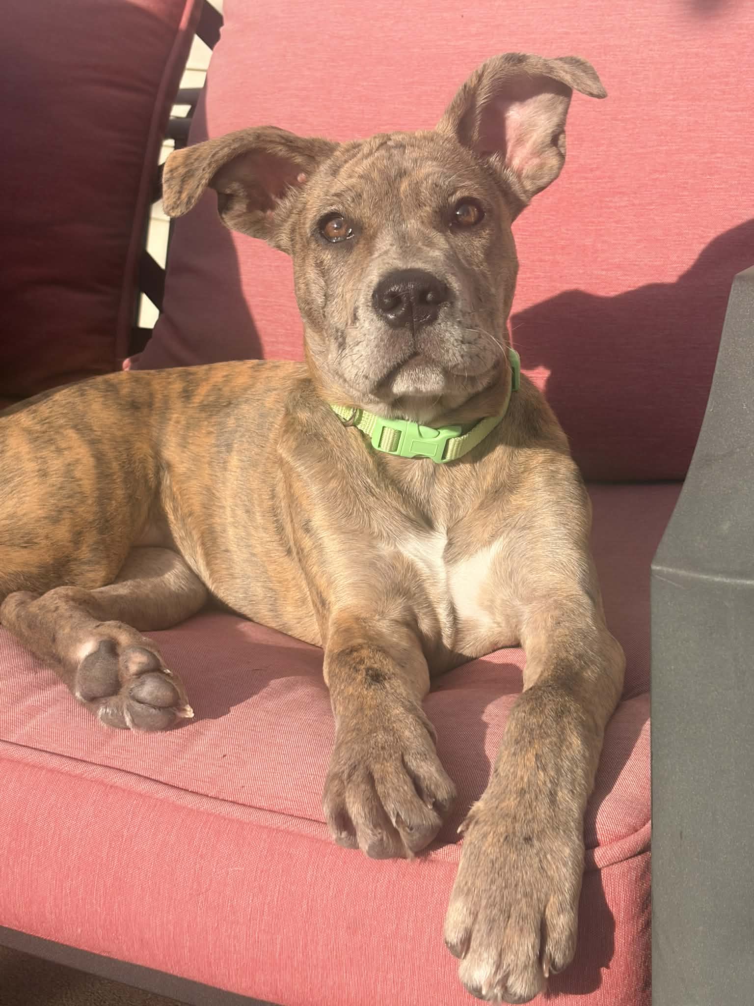 Marley