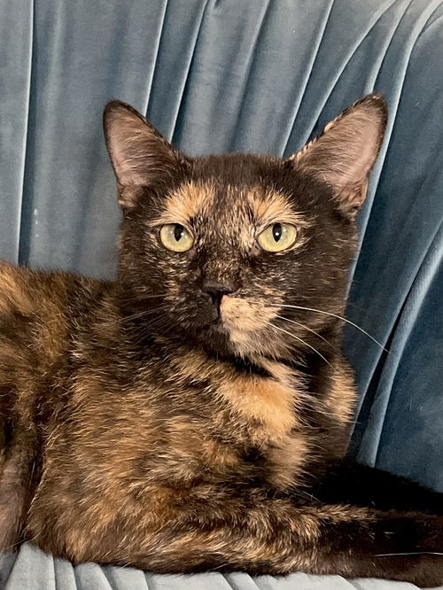 Pixel