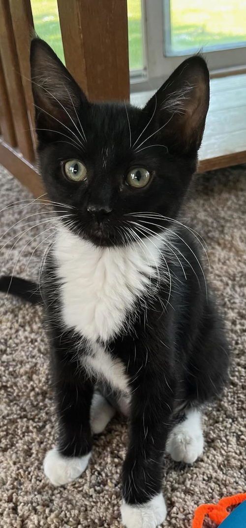 Milly