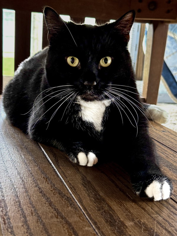 Zuko
