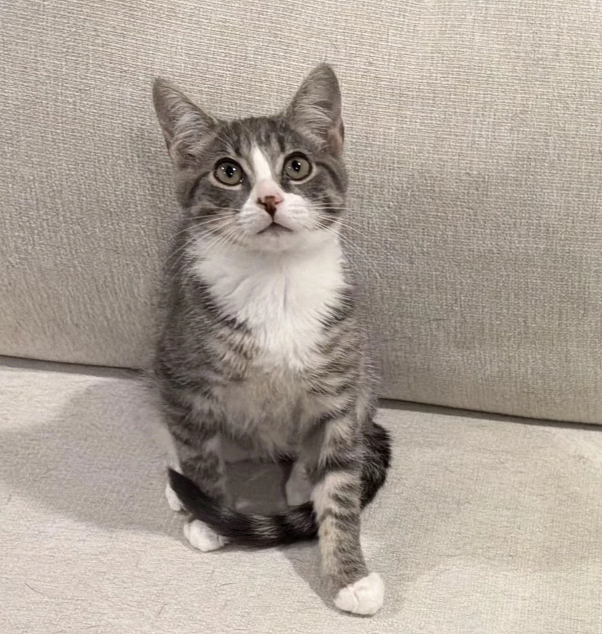 Terrance