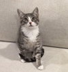 Terrance