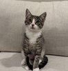 Terrance