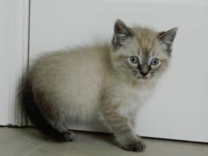Moby