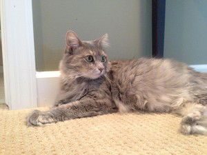 Mia