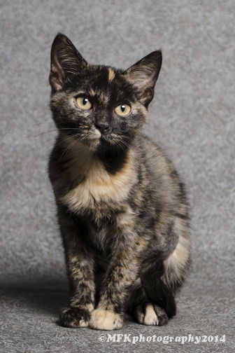 Penny Ana